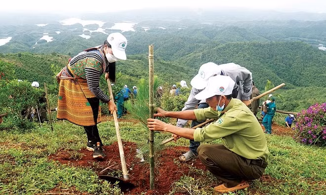 Le parc national de Tà Dùng mise sur l’écotourisme pour conserver ses forêts ảnh 2