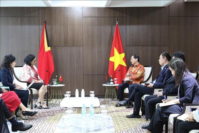 Le ministre des Affaires étrangères rencontre son homologue du Timor-Leste ảnh 1