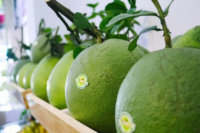 Les exportations de fruits et légumes ont la pêche en deux premiers mois de 2023 ảnh 1 Les exportations de fruits et légumes ont la pêche en deux premiers mois de 2023 ảnh 1
