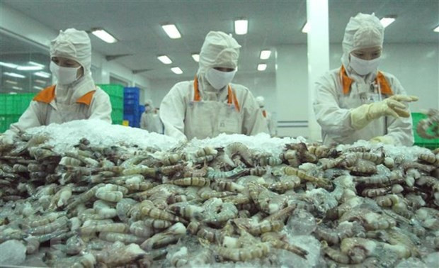 Bac Lieu vise un milliard de dollars d'exportations de crevettes ảnh 1