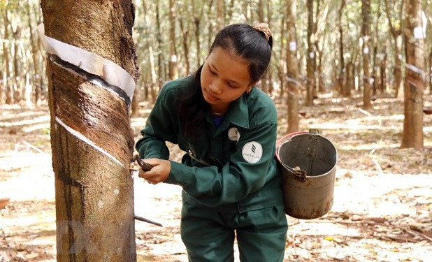 Un responsable de la province de Champassak apprécie les investisseurs vietnamiens ảnh 2 Un responsable de la province de Champassak apprécie les investisseurs vietnamiens ảnh 2