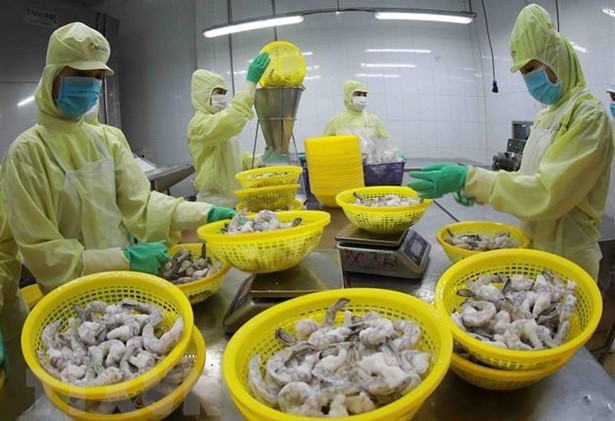 Les relations commerciales entre le Vietnam et le Brunei vont se renforcer ảnh 1 Les relations commerciales entre le Vietnam et le Brunei vont se renforcer ảnh 1