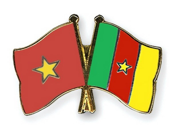 Le Vietnam promeut son partenariat avec le Cameroun ảnh 1