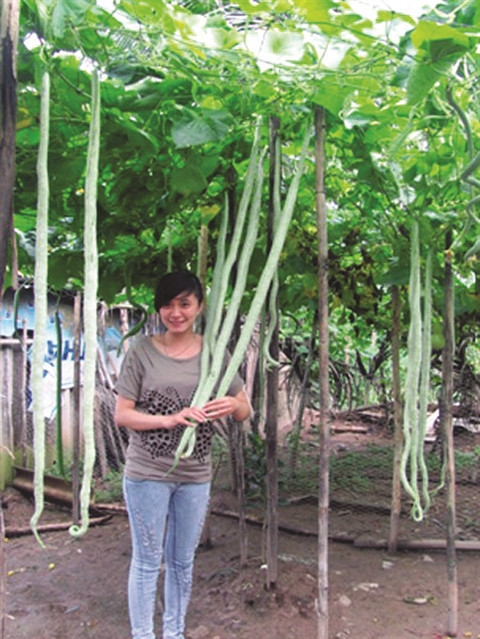 Des fruits et tubercules géants ảnh 1