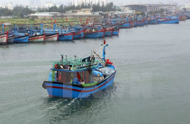 Quang Ngai : postes de radiocommunication en mer pour pêcheurs ảnh 1 Quang Ngai : postes de radiocommunication en mer pour pêcheurs ảnh 1