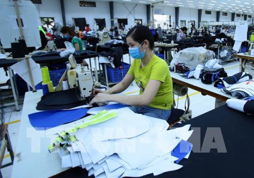 Textile: Vinatex vise le marché canadien  ảnh 1 Textile: Vinatex vise le marché canadien  ảnh 1