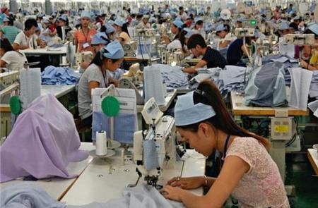 L’utilisation efficace des ressources naturelles permet d'économiser 30 millions de dollars par an ảnh 1 L’utilisation efficace des ressources naturelles permet d'économiser 30 millions de dollars par an ảnh 1