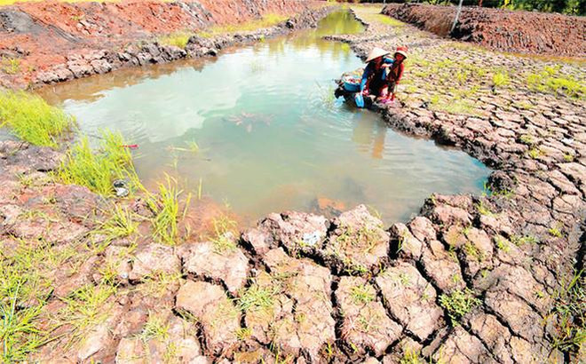 Changement climatique: créer des modèles de subsistance pour les habitants de Tra Vinh ảnh 1
