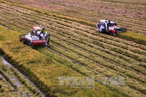 Le PM signe une directive pour le développement durable du delta du Mékong ảnh 1 Le PM signe une directive pour le développement durable du delta du Mékong ảnh 1