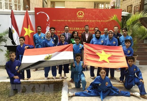 Potentiel de coopération entre le Vietnam et l'Egypte ảnh 1 Potentiel de coopération entre le Vietnam et l'Egypte ảnh 1