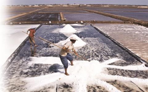 Propos sur le sel ảnh 1 Propos sur le sel ảnh 1