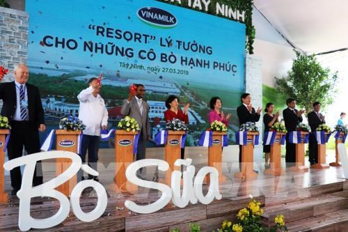 Vinamilk inaugure la plus grande ferme de vaches laitières du Vietnam à Tay Ninh ảnh 1 Vinamilk inaugure la plus grande ferme de vaches laitières du Vietnam à Tay Ninh ảnh 1