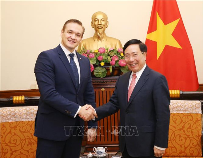 Le vice-PM et ministre des AE Pham Binh Minh reçoit le ministre littuanien de l'Intérieur ảnh 1 Le vice-PM et ministre des AE Pham Binh Minh reçoit le ministre littuanien de l'Intérieur ảnh 1