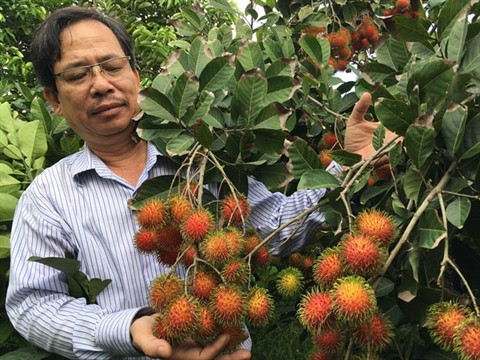 Nouvelle tendance du secteur cosmétique : opportunités pour le ramboutan du Vietnam ảnh 1 Nouvelle tendance du secteur cosmétique : opportunités pour le ramboutan du Vietnam ảnh 1