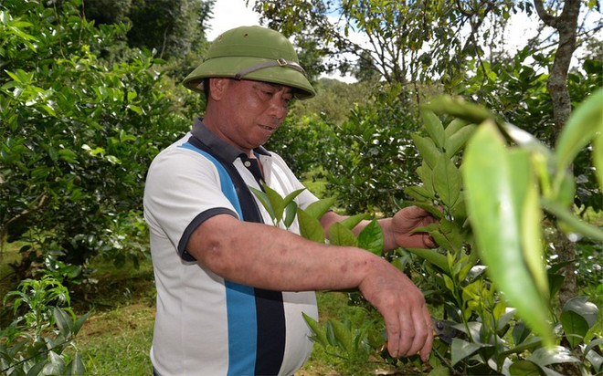 Autre époque, autre combat… ảnh 2 Autre époque, autre combat… ảnh 2