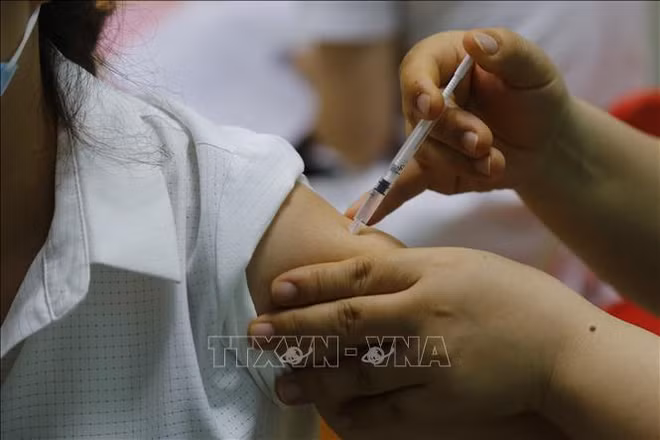 Covid-19 : bientôt le lancement du programme d'essais cliniques du vaccin ARCT-154 ảnh 1 Covid-19 : bientôt le lancement du programme d'essais cliniques du vaccin ARCT-154 ảnh 1