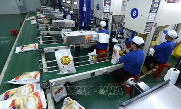 Le Vietnam exporte 3,58 millions de tonnes de riz en sept mois ảnh 1