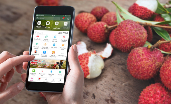 Pour soutenir les exportations de marchandises à l’étranger ảnh 2 Pour soutenir les exportations de marchandises à l’étranger ảnh 2