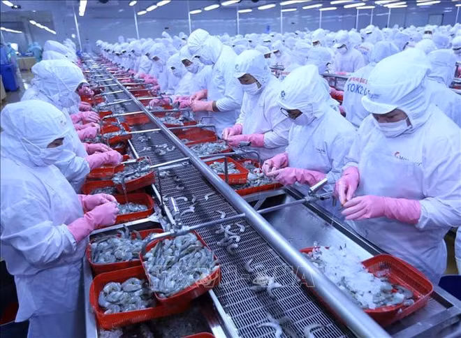 Les exportations de produits aquatiques atteignent 4,88 milliards de dollars en sept mois ảnh 1