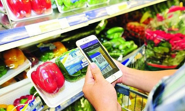 COVID-19 : préparer des plans pour parer à toute éventualité ảnh 2 COVID-19 : préparer des plans pour parer à toute éventualité ảnh 2