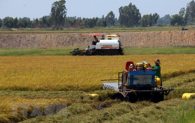 Le delta du Mékong cherche à transformer les défis agricoles en opportunités ảnh 1 Le delta du Mékong cherche à transformer les défis agricoles en opportunités ảnh 1