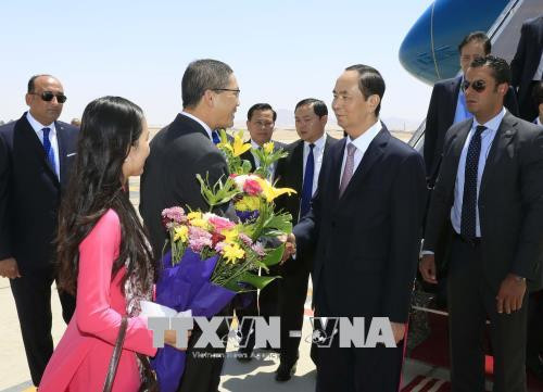 La visite du président vietnamien en Égypte ouvre une nouvelle perspective de coopération bilatérale ảnh 1 La visite du président vietnamien en Égypte ouvre une nouvelle perspective de coopération bilatérale ảnh 1