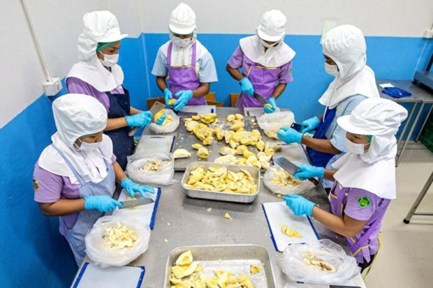 La Thaïlande réduit les frais de visa et de séjour pour les travailleurs d'Asie du Sud-Est ảnh 1