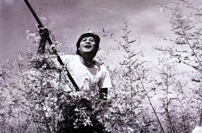 En Inde, Doordarshan célèbre la magie du cinéma vietnamien ảnh 1 En Inde, Doordarshan célèbre la magie du cinéma vietnamien ảnh 1
