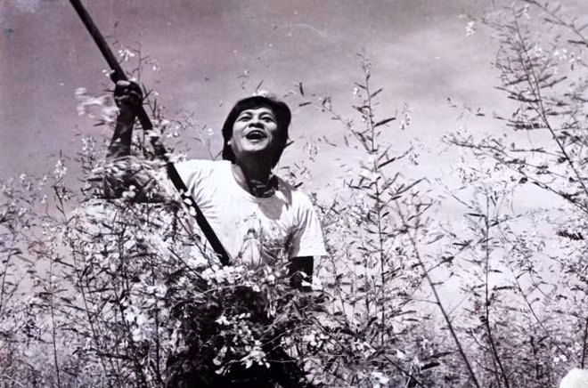 En Inde, Doordarshan célèbre la magie du cinéma vietnamien ảnh 1