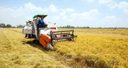 Ouverture du Salon international de l'agriculture du Vietnam à Can Tho ảnh 1