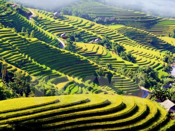 Colloque sur l’Année nationale du tourisme 2017 au Nord-Ouest - Lao Cai ảnh 2 Colloque sur l’Année nationale du tourisme 2017 au Nord-Ouest - Lao Cai ảnh 2