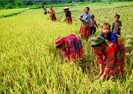 Vers une réduction multidimensionnelle de la pauvreté ảnh 1