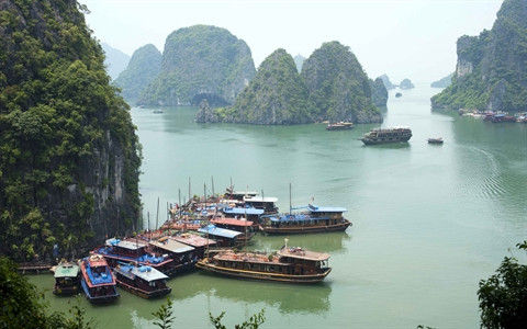 Des solutions contre la «surcharge» en haute saison de la baie de Ha Long ảnh 1 Des solutions contre la «surcharge» en haute saison de la baie de Ha Long ảnh 1
