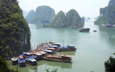 Des solutions contre la «surcharge» en haute saison de la baie de Ha Long ảnh 1 Des solutions contre la «surcharge» en haute saison de la baie de Ha Long ảnh 1
