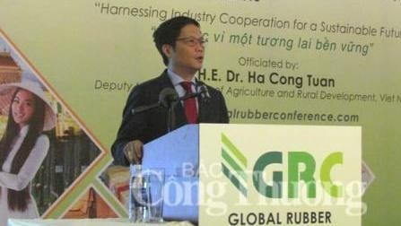 Pour un développement durable de la filière du caoutchouc du Vietnam ảnh 1 Pour un développement durable de la filière du caoutchouc du Vietnam ảnh 1