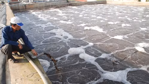 Vietnam - Allemagne: Renforcer la coopération dans le traitement des eaux ảnh 1 Vietnam - Allemagne: Renforcer la coopération dans le traitement des eaux ảnh 1