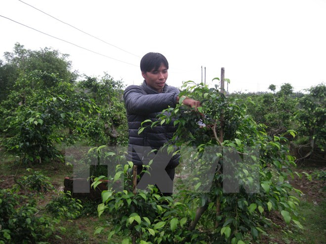 Le PNUD aide le Vietnam à construire un nouveau modèle de croissance ảnh 1 Le PNUD aide le Vietnam à construire un nouveau modèle de croissance ảnh 1