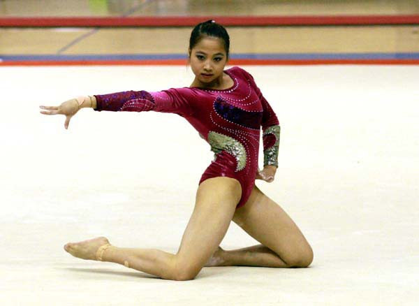 Bientôt le Championnat de l’aérobic d'Asie 2015 au Vietnam ảnh 1