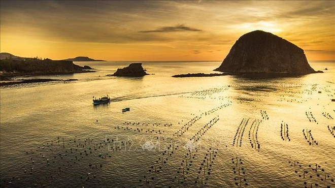 Phú Yên, une province littorale dotée de forts atouts touristiques ảnh 5 Phú Yên, une province littorale dotée de forts atouts touristiques ảnh 5
