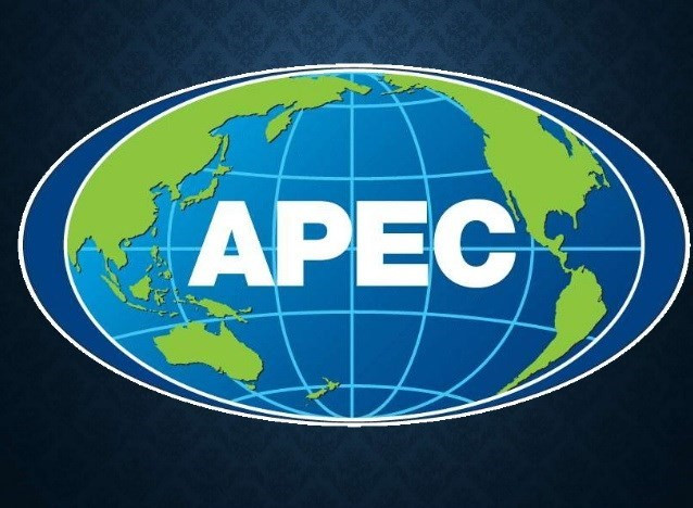 L'APEC œuvre pour une reprise durable et inclusive ảnh 1