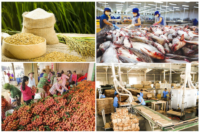 Produits agricoles-sylvicoles-aquatiques: exportation excédentaire de 3,19 mlds d'USD en 10 mois ảnh 1 Produits agricoles-sylvicoles-aquatiques: exportation excédentaire de 3,19 mlds d'USD en 10 mois ảnh 1