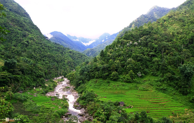 Aide américaine pour la gestion forestière et la conservation de la biodiversité à Lao Cai ảnh 1 Aide américaine pour la gestion forestière et la conservation de la biodiversité à Lao Cai ảnh 1