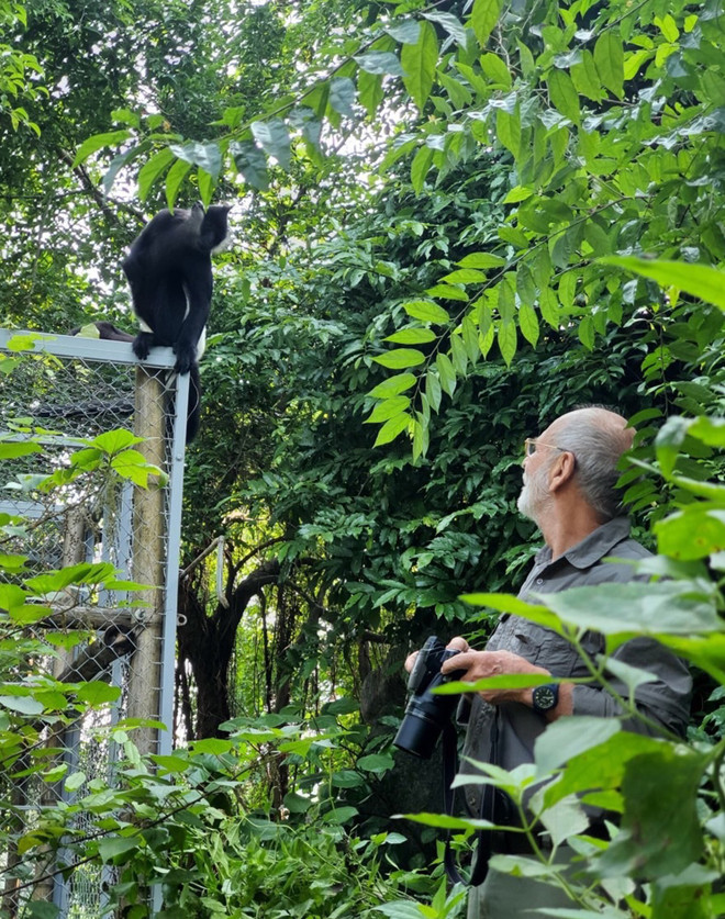Naissance naturelle d'un Langur de Delacour au complexe paysager de Trang An (Ninh Binh) ảnh 3 Naissance naturelle d'un Langur de Delacour au complexe paysager de Trang An (Ninh Binh) ảnh 3