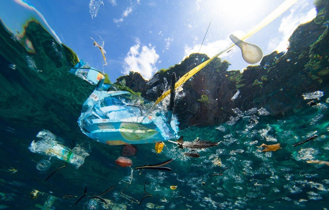 Le Vietnam copréside une conférence sur la pollution plastique et les déchets marins à Genève ảnh 2 Le Vietnam copréside une conférence sur la pollution plastique et les déchets marins à Genève ảnh 2