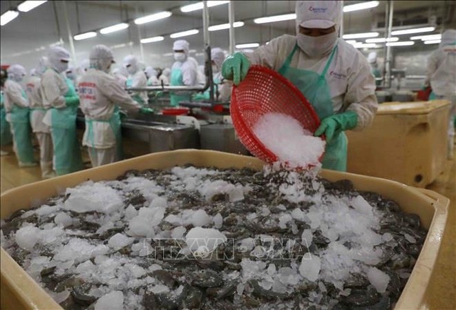 Les exportations nationales de produits aquatiques s'accéleront d’ici la fin de l'année ảnh 2 Les exportations nationales de produits aquatiques s'accéleront d’ici la fin de l'année ảnh 2