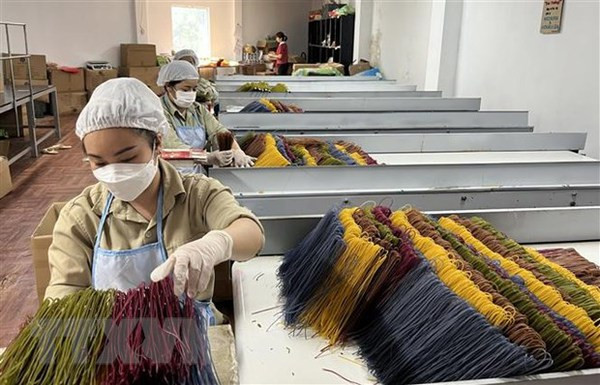 Le Canada est un marché plein de potentiels pour les produits vietnamiens ảnh 2 Le Canada est un marché plein de potentiels pour les produits vietnamiens ảnh 2