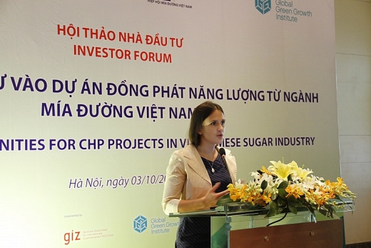 Développement des bioénergies à base de bagasse: une opportunité pour les investisseurs ảnh 1 Développement des bioénergies à base de bagasse: une opportunité pour les investisseurs ảnh 1