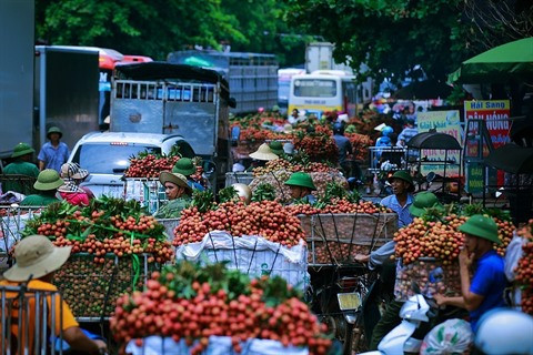 Vietnam - Chine: de nombreuses opportunités de coopération commerciale ảnh 2 Vietnam - Chine: de nombreuses opportunités de coopération commerciale ảnh 2