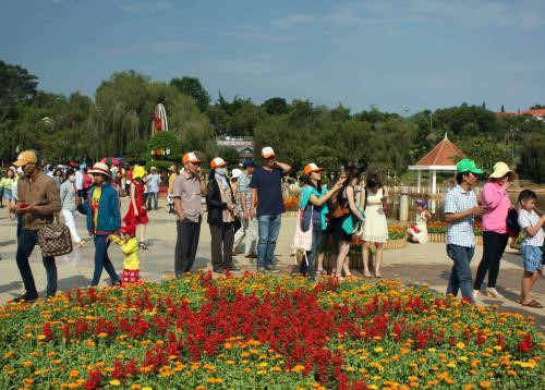 Da Lat : Plus de 60.000 visiteurs à l’exposition de fleurs et de plantes d’agrément ảnh 1 Da Lat : Plus de 60.000 visiteurs à l’exposition de fleurs et de plantes d’agrément ảnh 1
