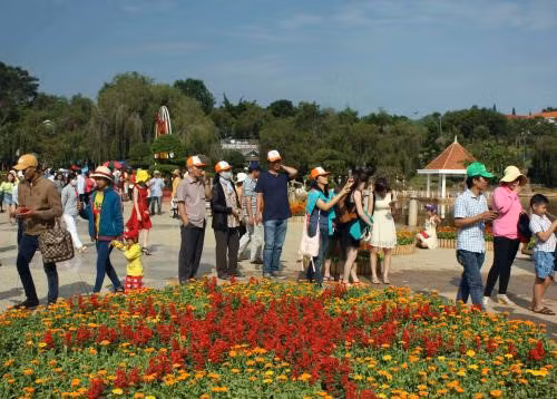 Da Lat : Plus de 60.000 visiteurs à l’exposition de fleurs et de plantes d’agrément ảnh 1